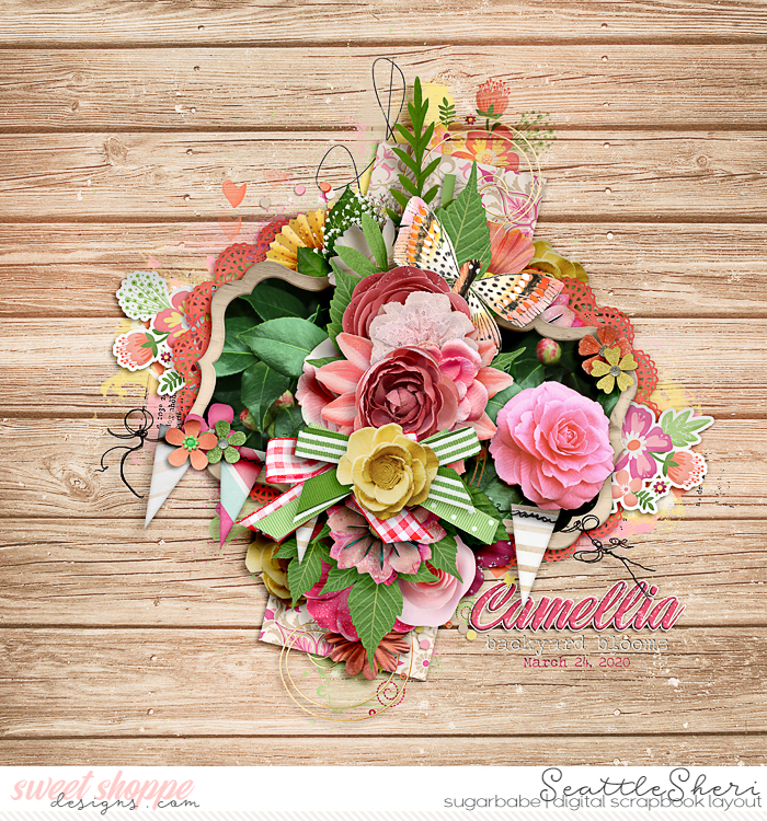Camellia