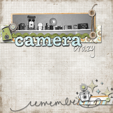 Camera Collection