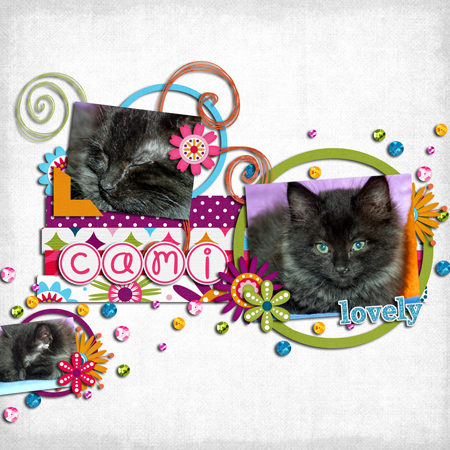 Cami