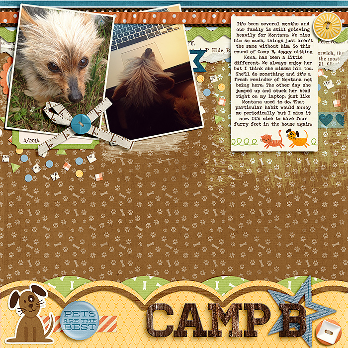 camp b