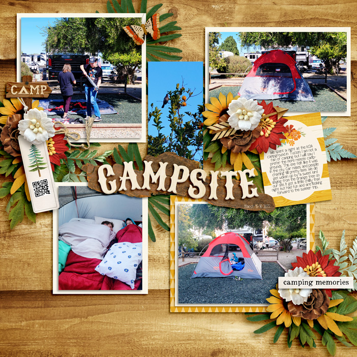 Camping in Tucson 0322