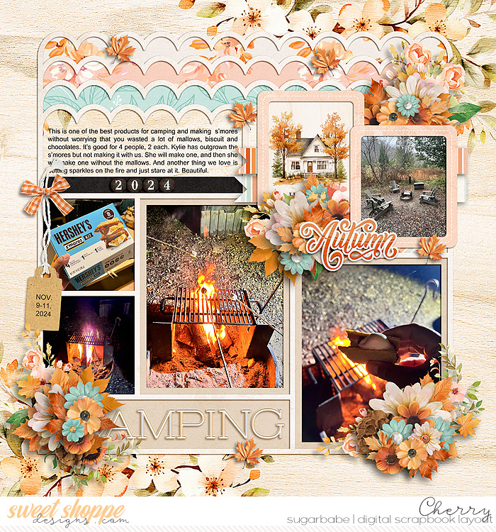 Camping {side b}
