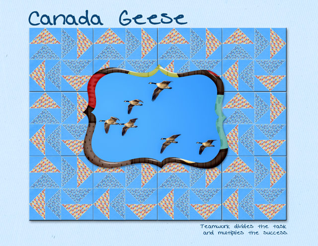Canada Geese