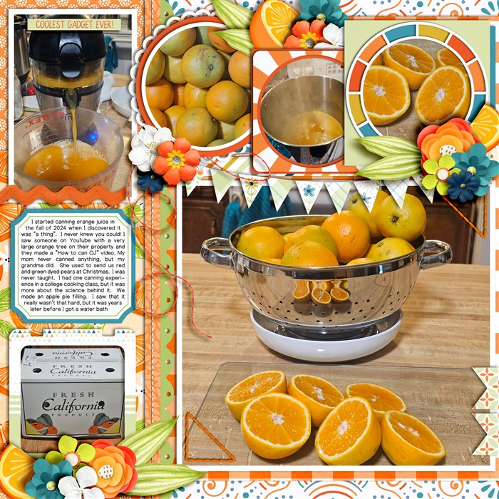 Canning Orange Juice - LEFT SIDE