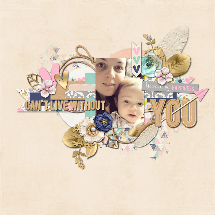 Can't Live Without You