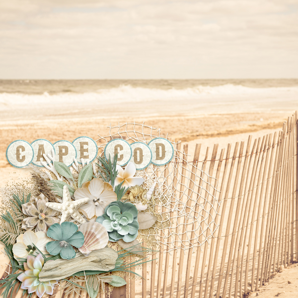 Cape Cod