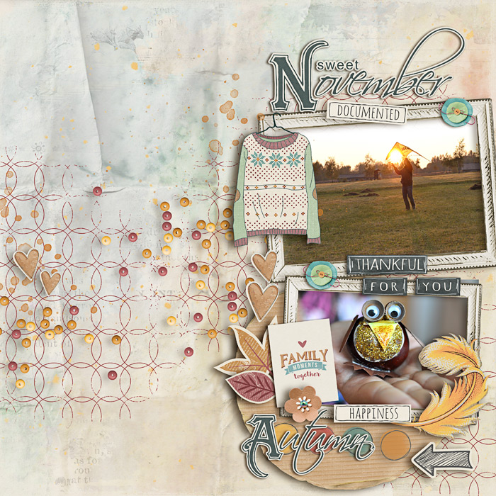 Capturing Life: November