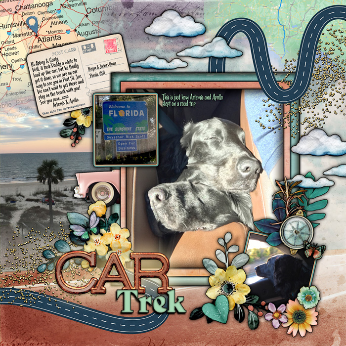 Car Trek