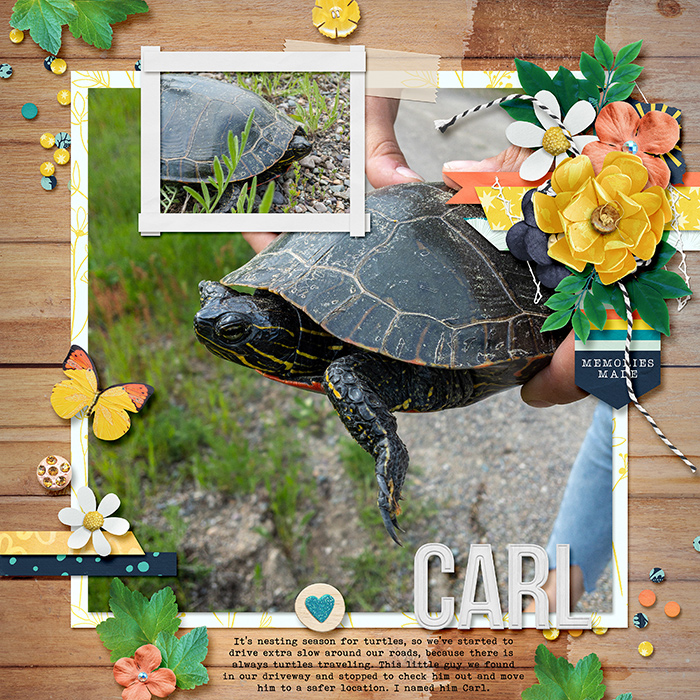 Carl the Turtle
