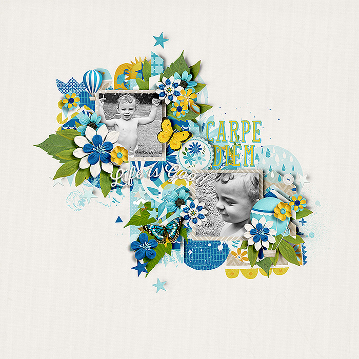 Carpe Diem