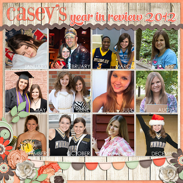 Casey's Year in Review 2012