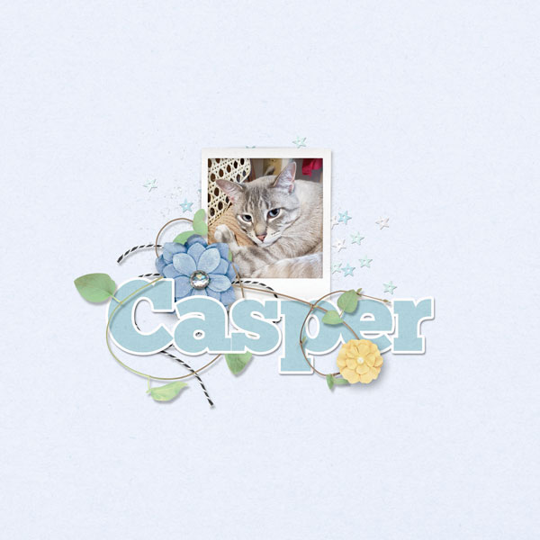 Casper