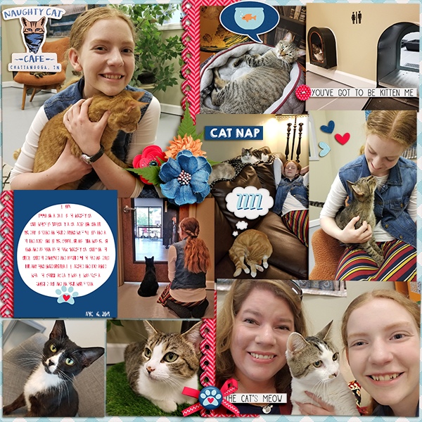 Cat Cafe