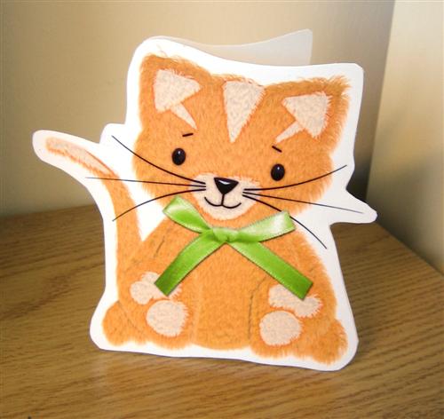 Cat hybrid card