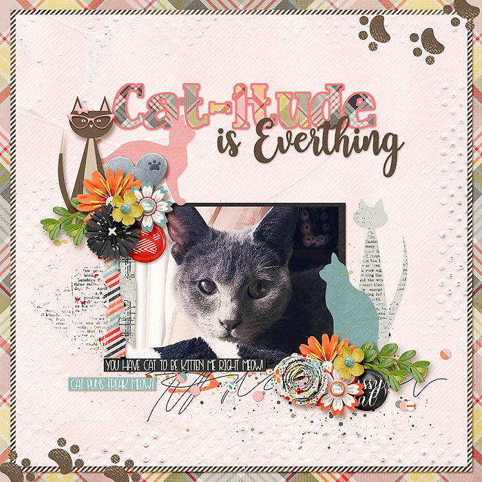 Cat-itude is Everything