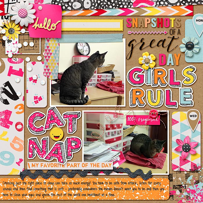 Cat nap