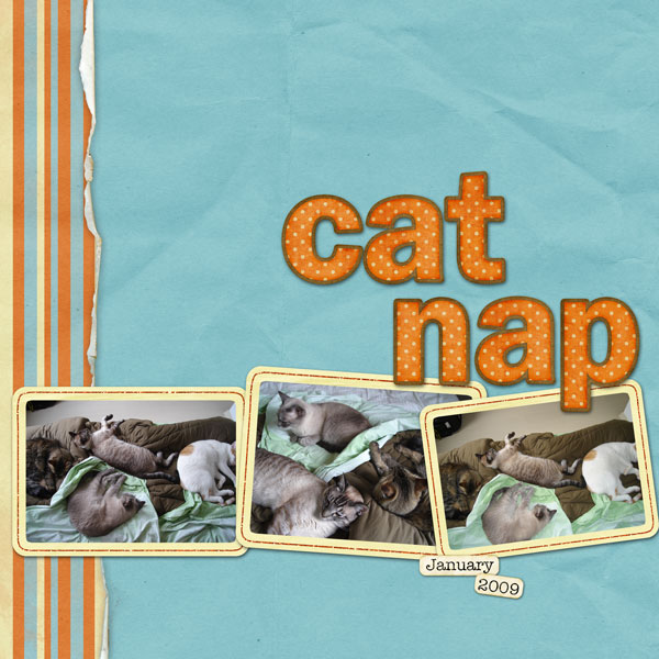 Cat Nap