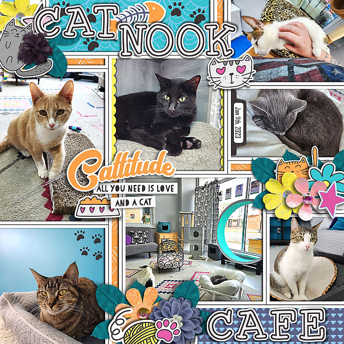 Cat Nook Cafe
