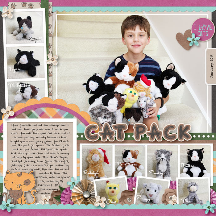 Cat Pack