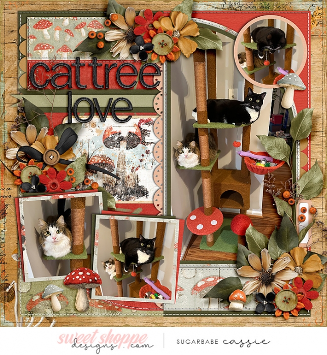 Cat Tree Love