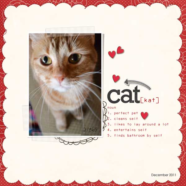 Cat