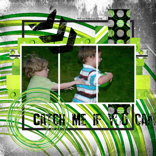 Catch Me If You Can (Cookie #37)