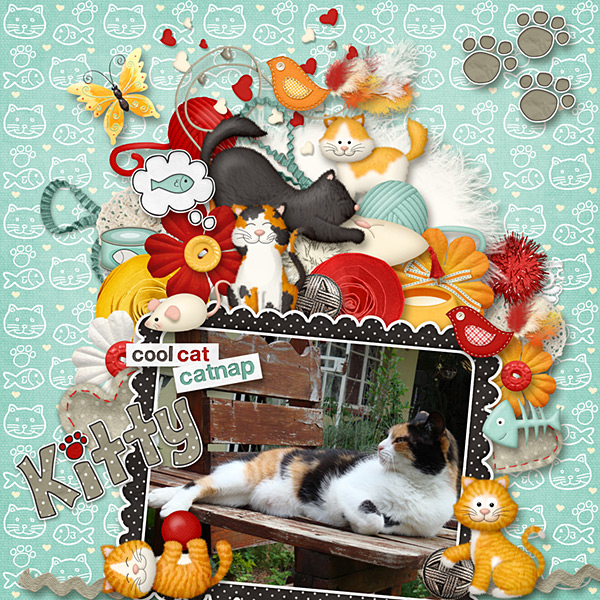 Catnap
