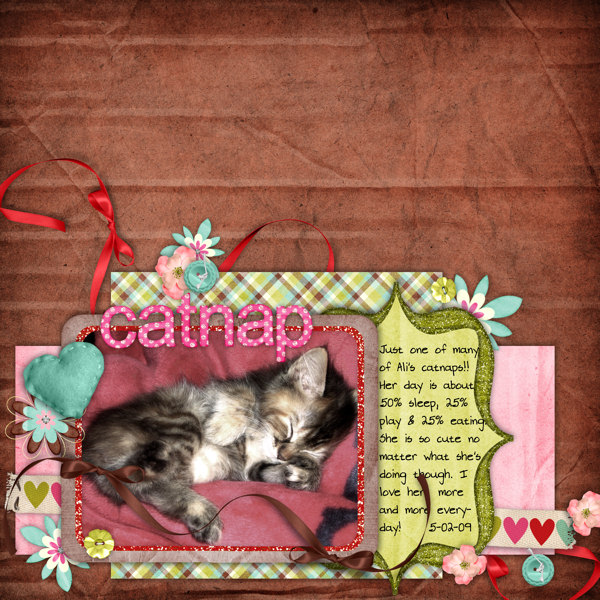 catnap
