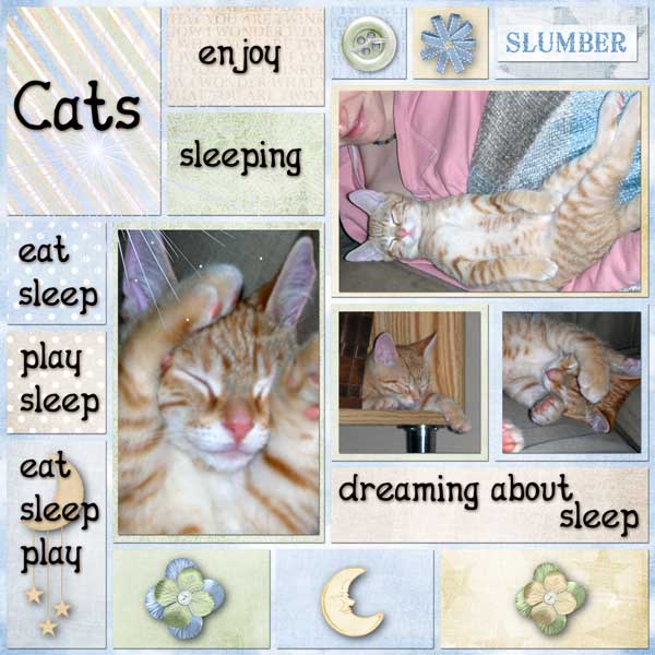 Cats Enjoy Sleeping