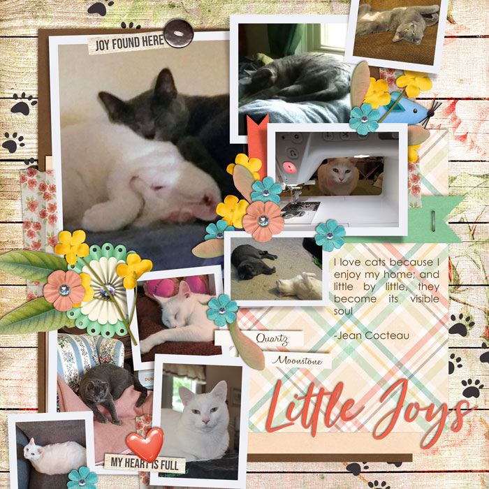 Cats- Little Joys