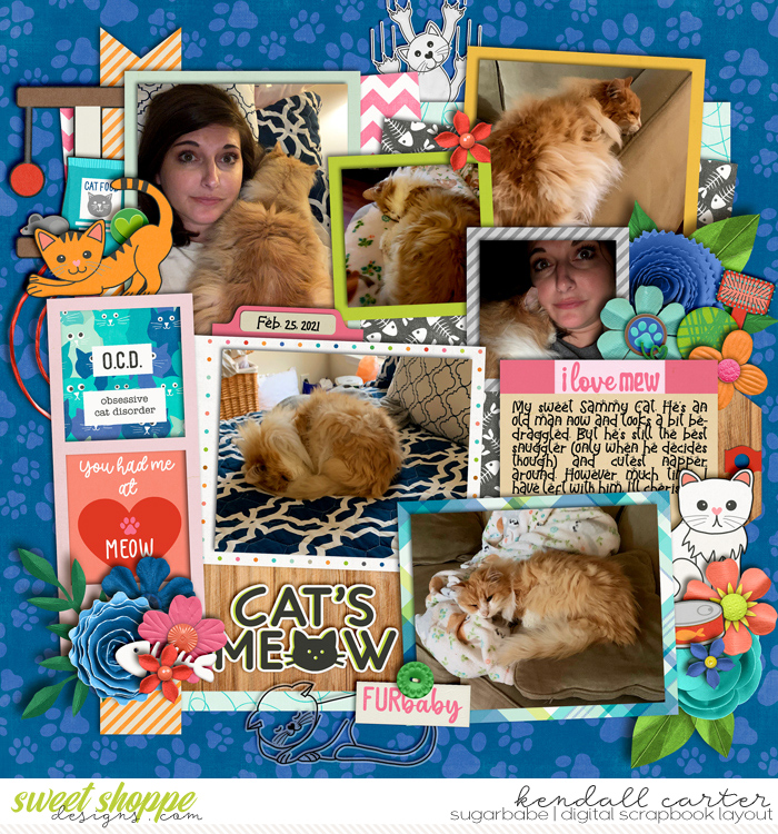 Cat's Meow