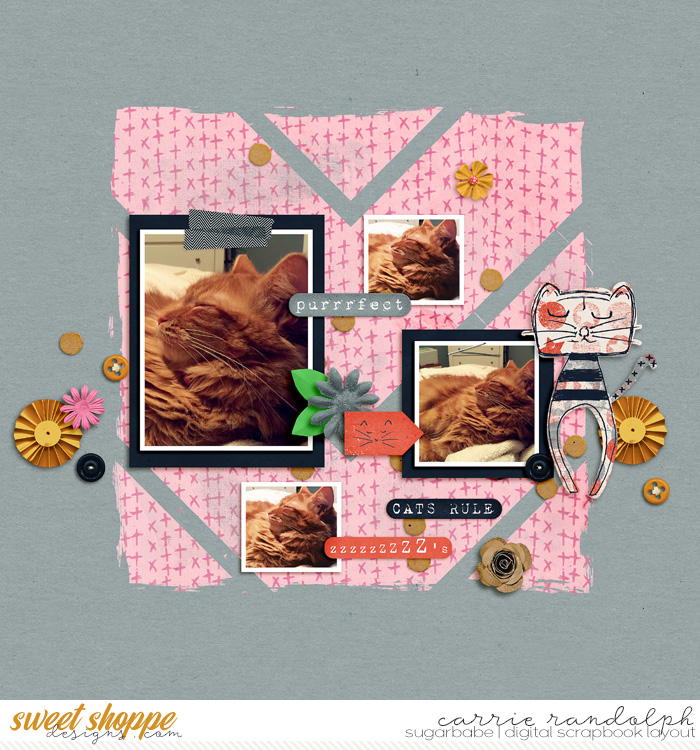 Cats Rule