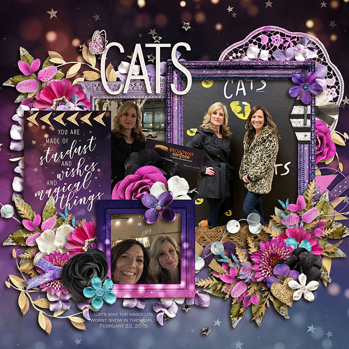 Cats
