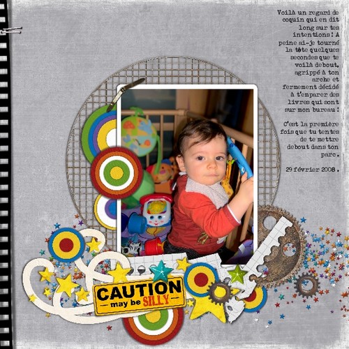Caution May Be Silly !