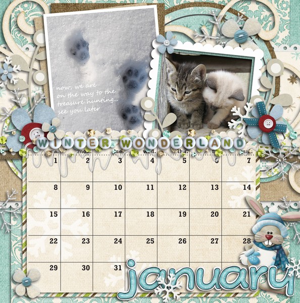 CD calendar -January