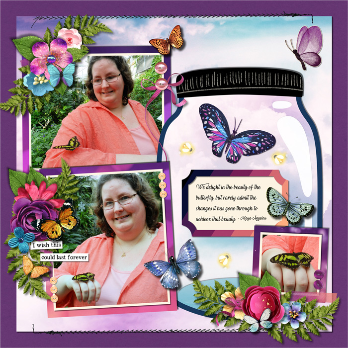 Changes of a Butterfly