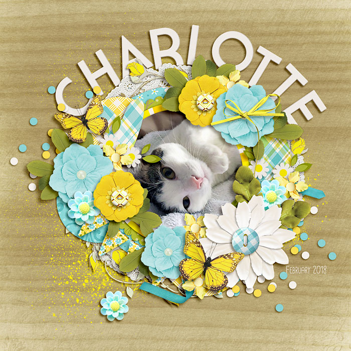 charlotte