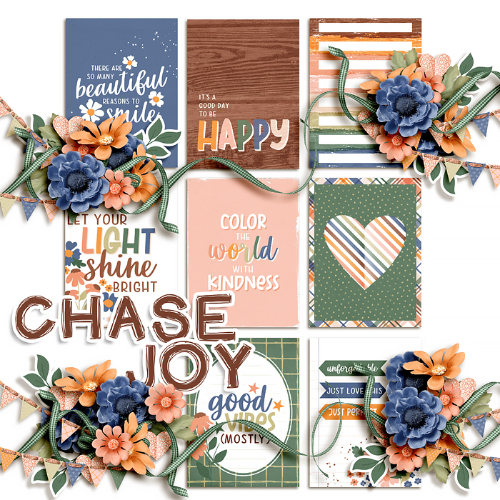 Chase Joy