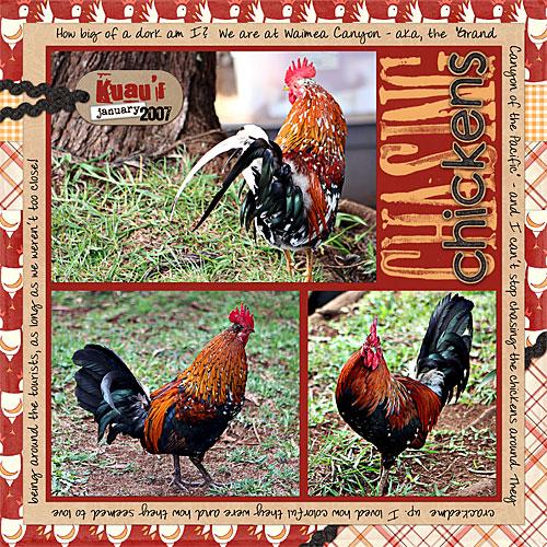 Chasing Chickens
