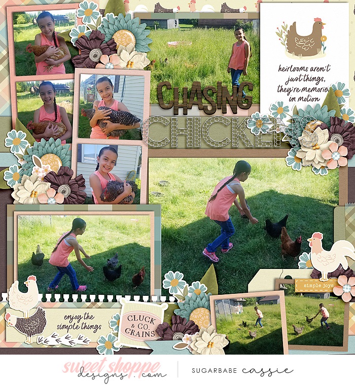 Chasing Chickens