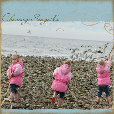 Chasing seagulls