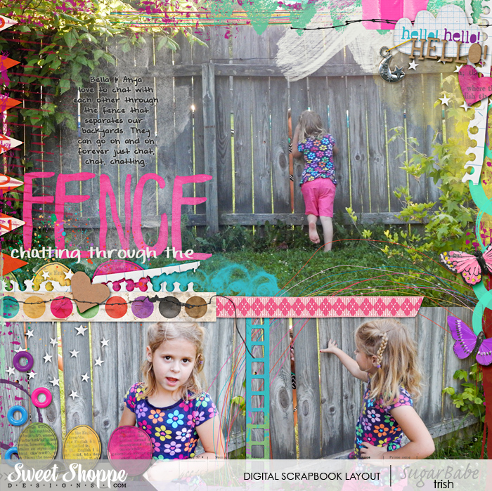 chatting through the fence