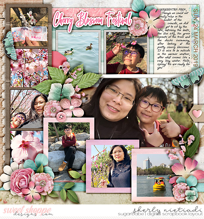 Cherry Blossom festival