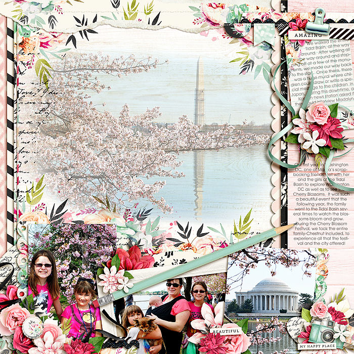 Cherry Blossoms