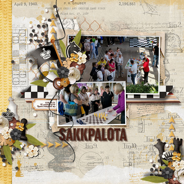 Chesspalace program