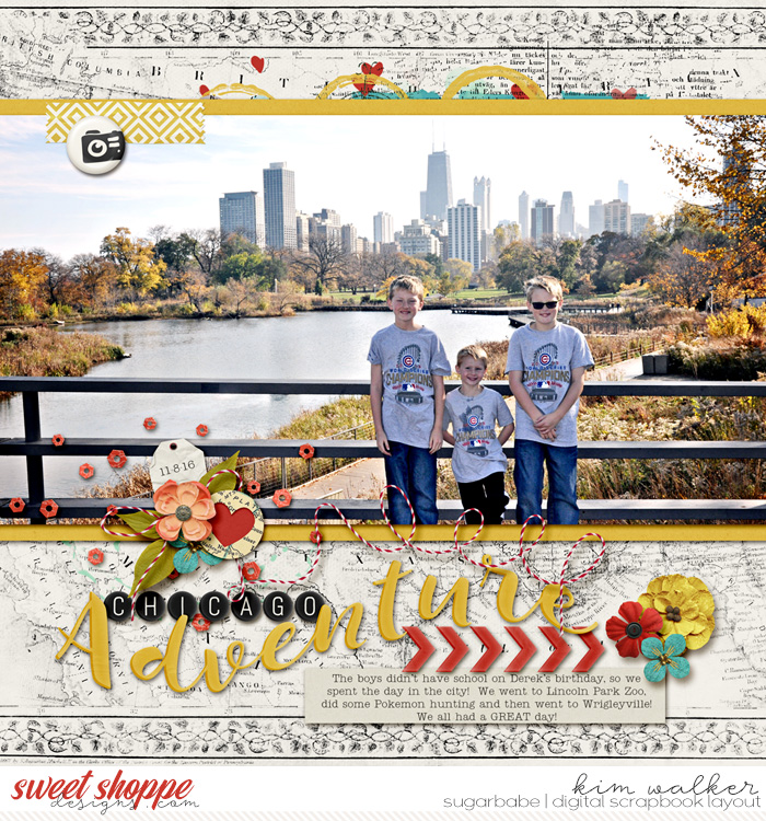 Chicago Adventure
