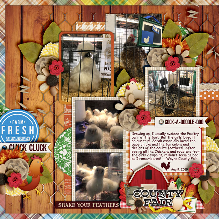 Chickens at the Fair