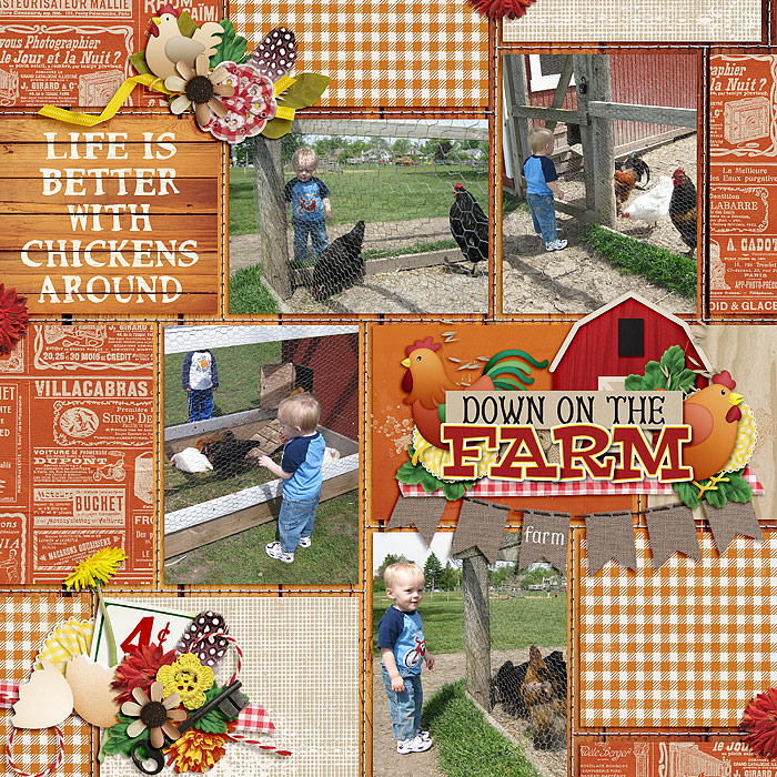 Chickens Everywhere