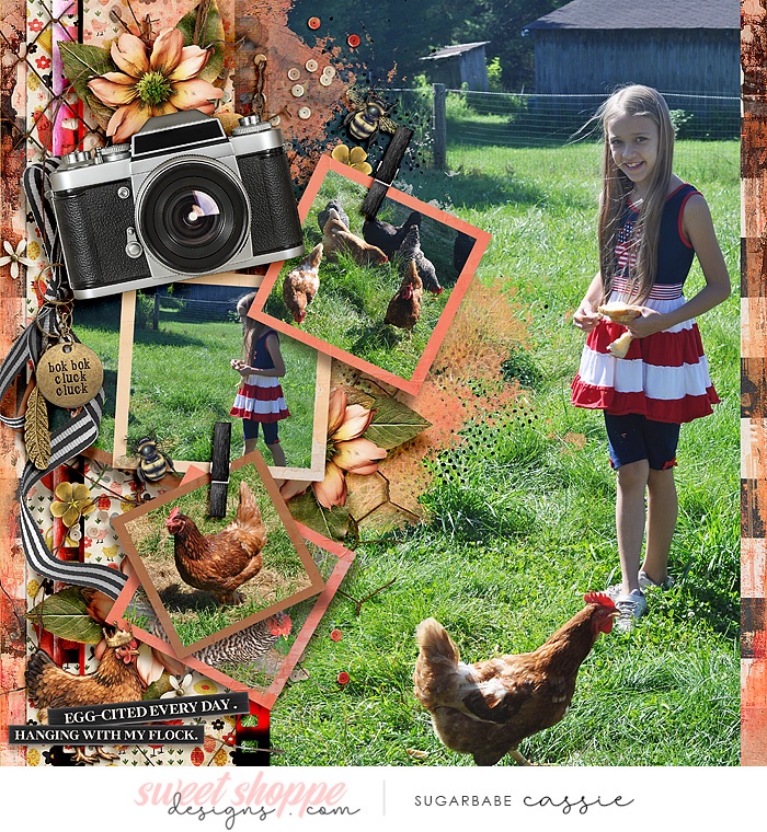 Chickens