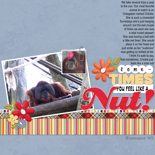 Chickie - One Nutty Orangutan!
